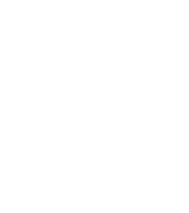 DIG COMPANY LIMITED